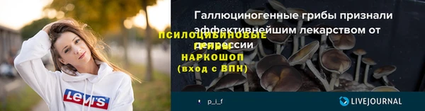 хмурый Бронницы